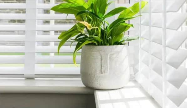 Naprawa i wymiana mechanizmu żaluzji drewnianych poradnik